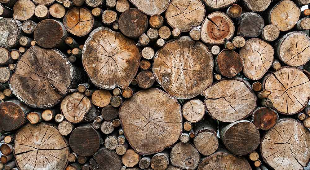 Holz - Der Werkstoff für die Zimmerei und Holzhausbau Hans Heigl in Schweitenkirchen